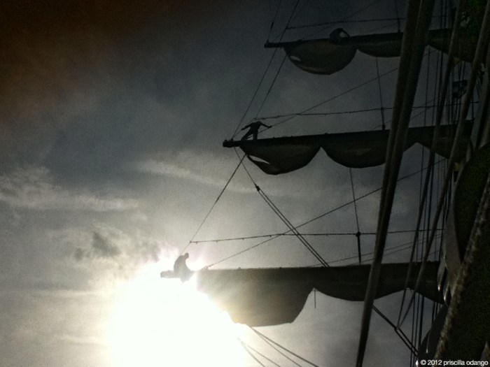 op sail harborfest 2012