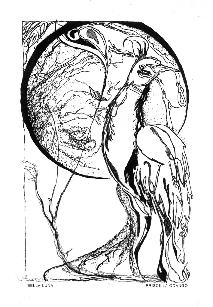 266275_255585707800767_6708579_o(1)